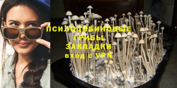 скорость Алексин